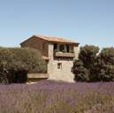 hotel-garden-design-lavender-provence-luberon-capelongue-beaumier-bonnieux