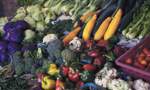 vegetables-fruits-products-hotel-les-roches-rouges-beaumier-saint-raphael